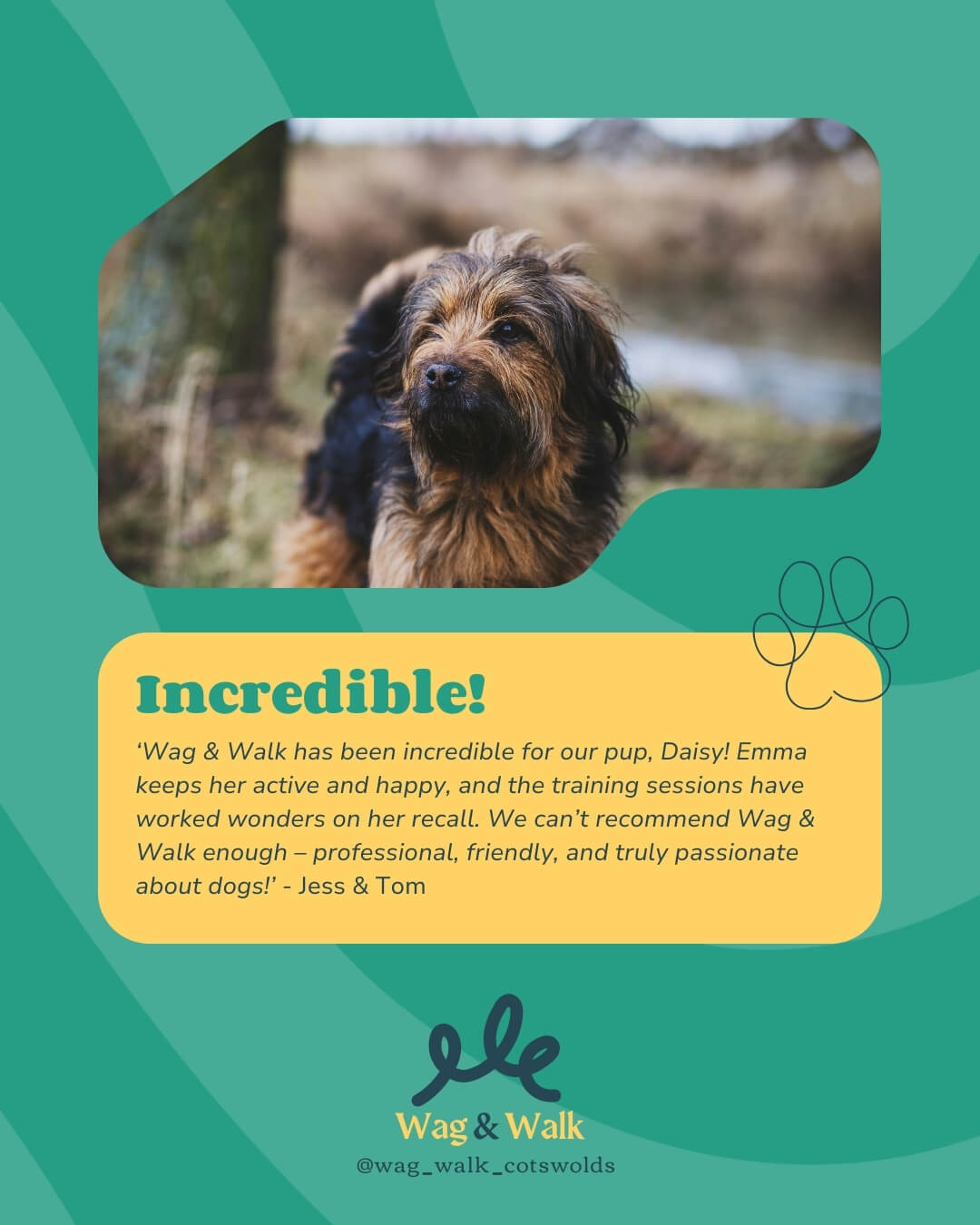 Social media graphic for dog walking service